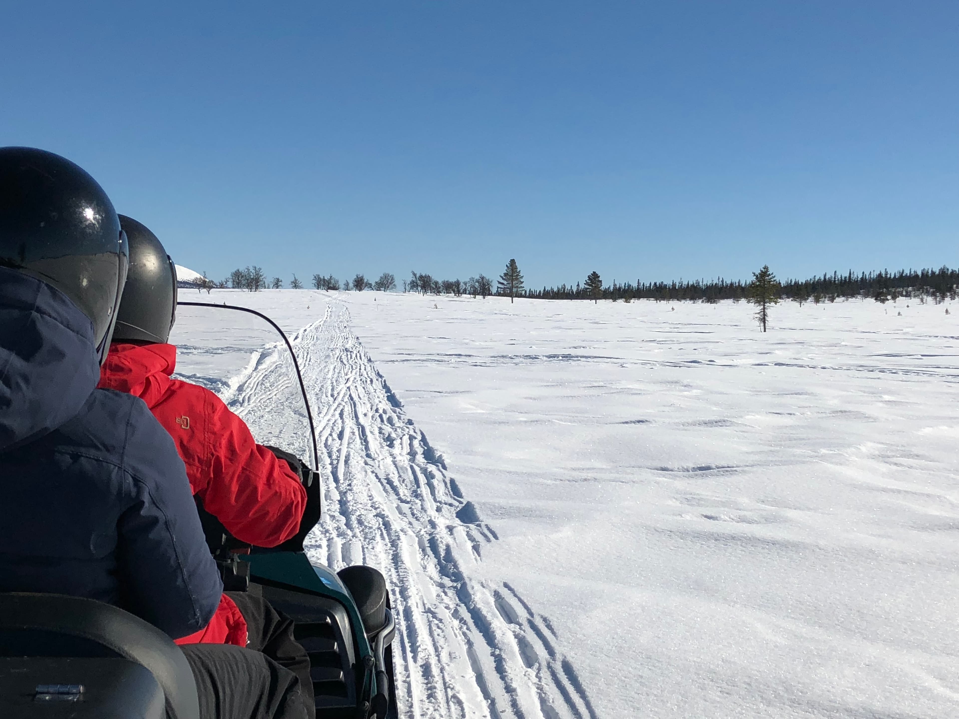 Skoteråkning